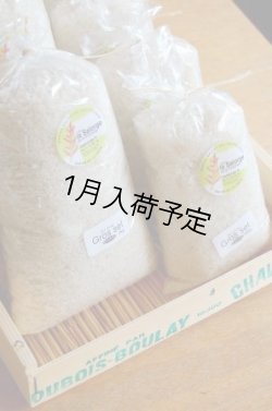 画像5: La Salorge de la Vertonne  ヴェルトンヌの粗塩 -Gros sel-　小(500g)