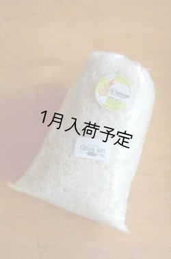 画像1: La Salorge de la Vertonne  ヴェルトンヌの粗塩 -Gros sel-　大(1kg)