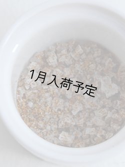 画像2: La Salorge de la Vertonne  スパイス入り海塩　カレー(60g)