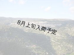 画像4: カステル・ディ・レゴ ビアンコリッラ EXVオリーブオイル(750ml)