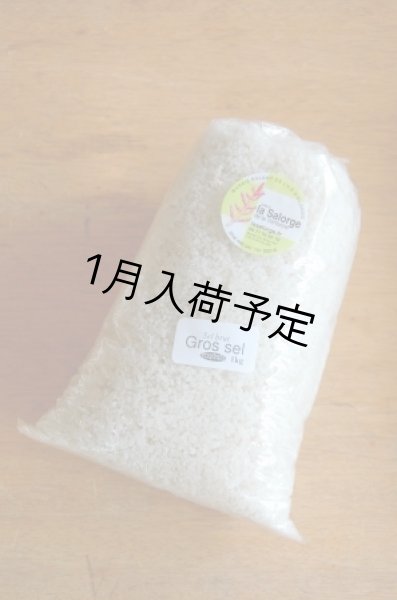 画像1: La Salorge de la Vertonne  ヴェルトンヌの粗塩 -Gros sel-　大(1kg) (1)