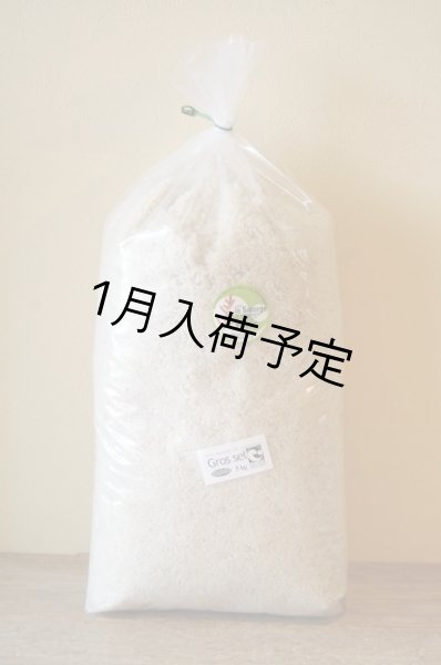 画像1: La Salorge de la Vertonne  ヴェルトンヌの粗塩 -Gros sel-　特大(5kg) (1)